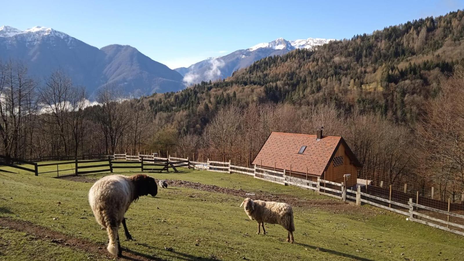 Chalet Navauce Raveo Eksteriør billede